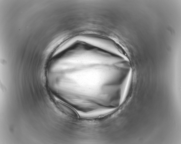 X0000090720245200708101559