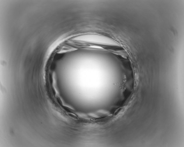 X0000090720246200708101559