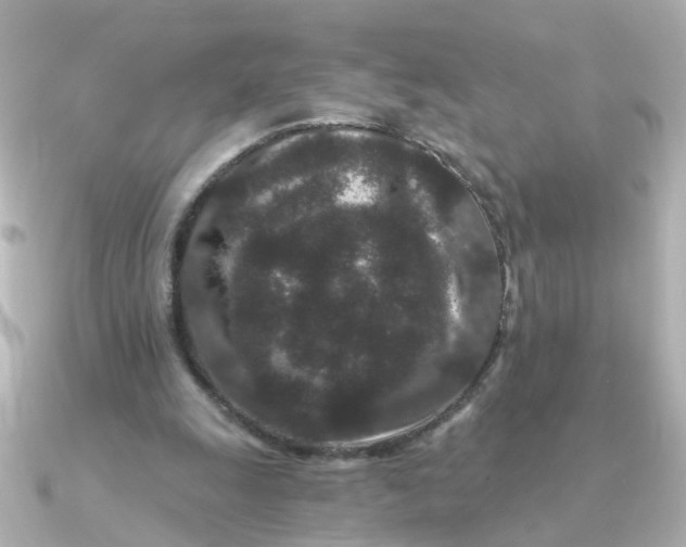 X0000090720247200708101559