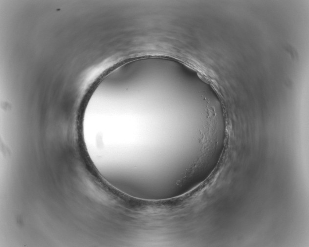 X0000090720248200708101559