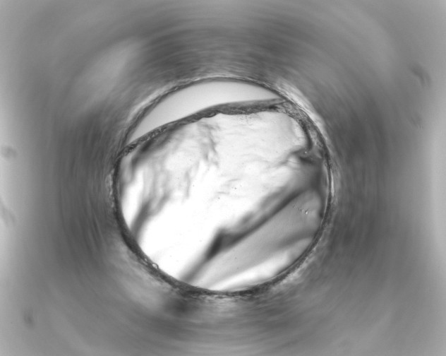 X0000090720249200708101559