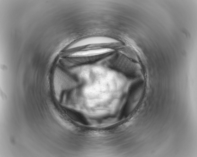 X0000090720250200708101559