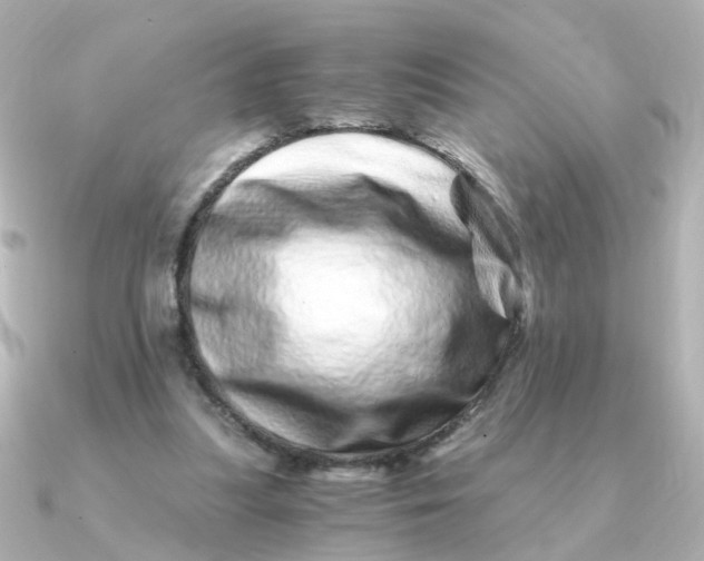 X0000090720251200708101559