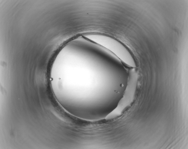 X0000090720252200708101559