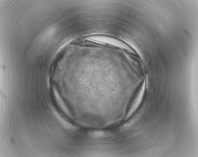 X0000090720253200708101559