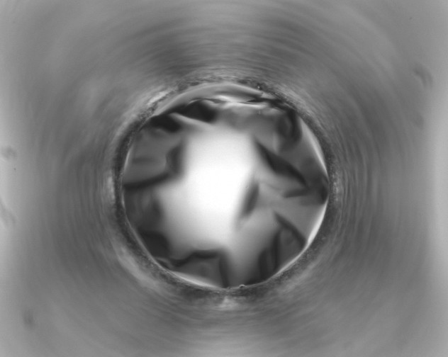 X0000090720254200708101559