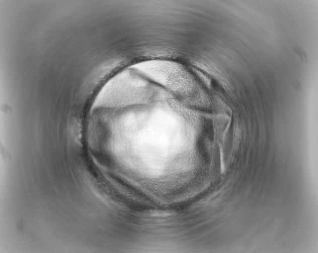 X0000090720255200708101559