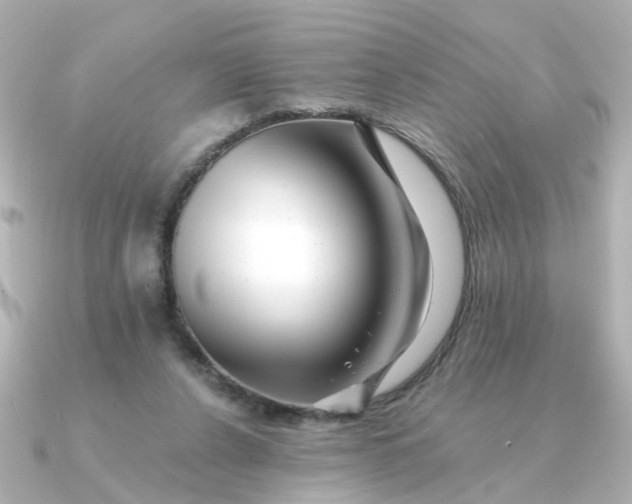 X0000090720256200708101559