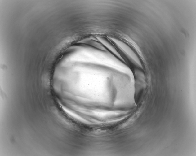 X0000090720257200708101559