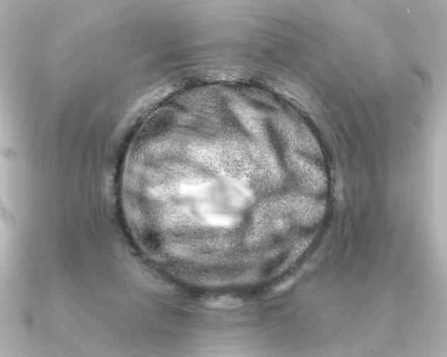 X0000090720258200708101559