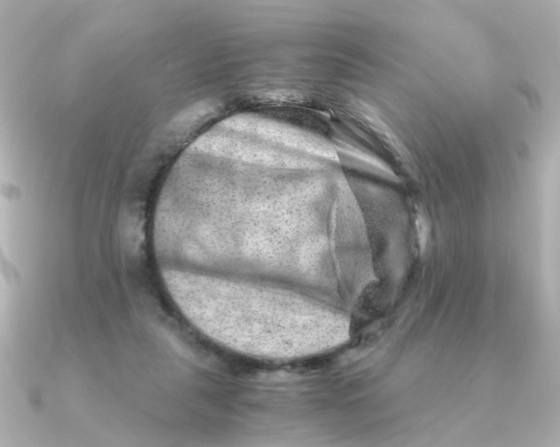 X0000090720259200708101559