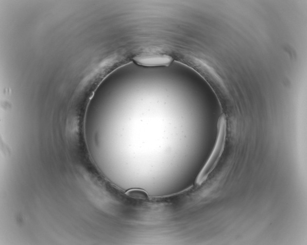 X0000090720260200708101559