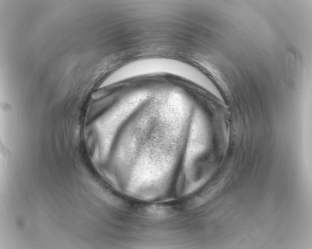 X0000090720261200708101559