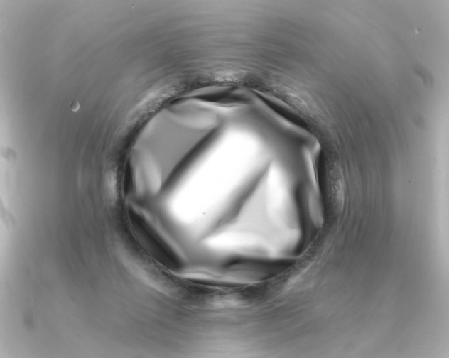 X0000090720262200708101559