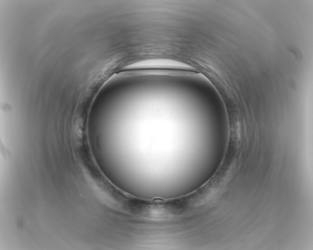 X0000090720264200708101559