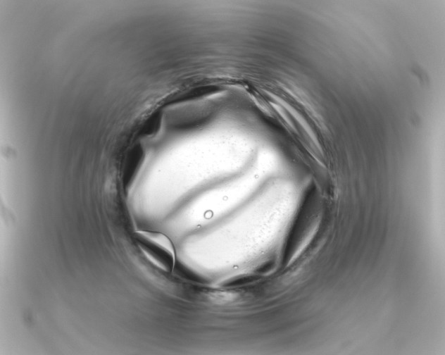 X0000090720265200708101559