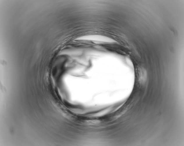 X0000090720266200708101559