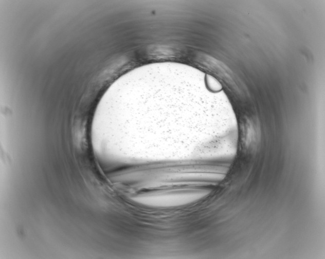 X0000090720267200708101559