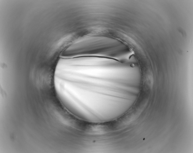 X0000090720268200708101559