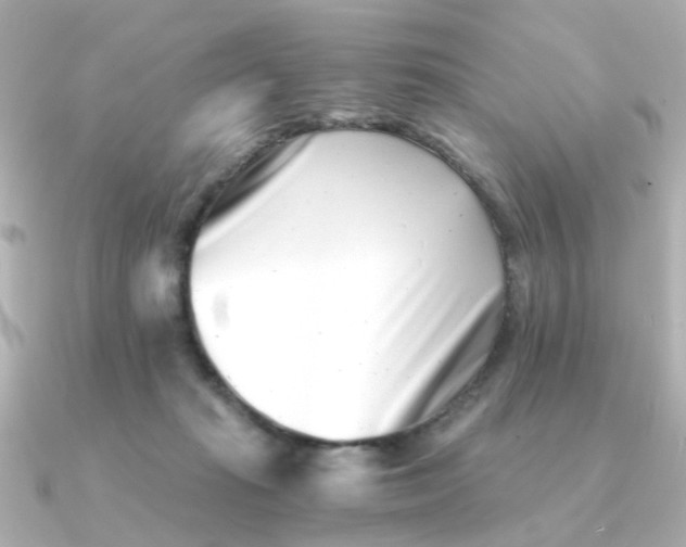 X0000090720269200708101559