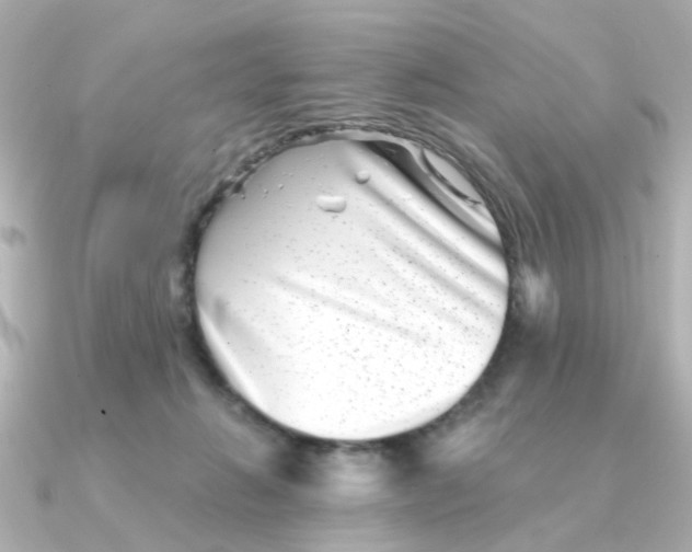 X0000090720270200708101559