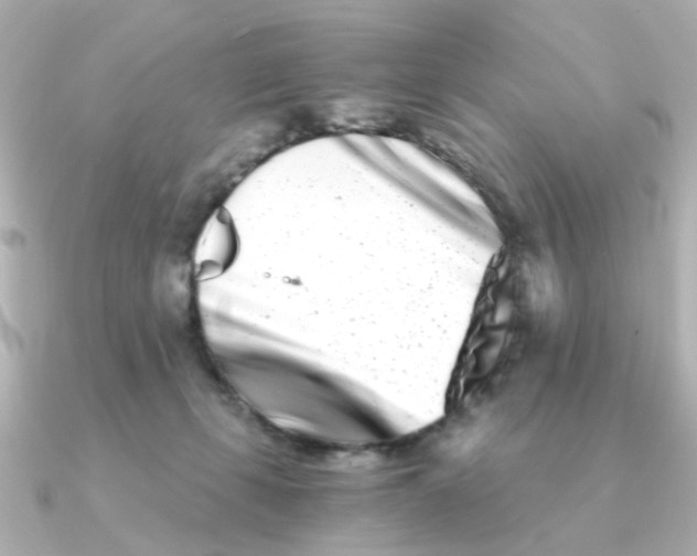 X0000090720271200708101559