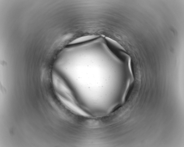 X0000090720272200708101559