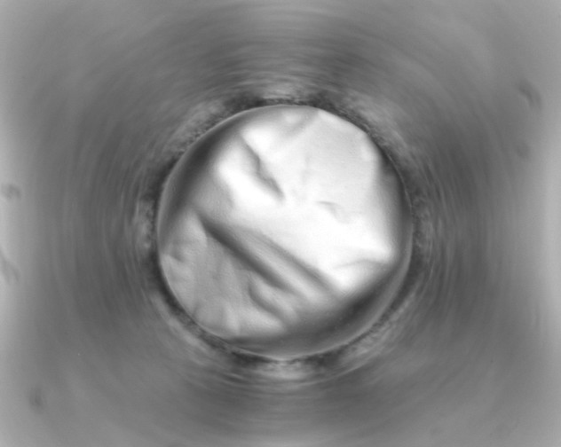 X0000090720273200708101559