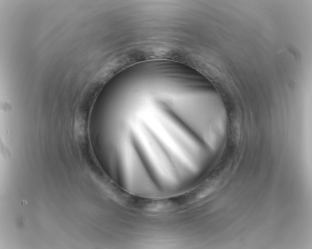 X0000090720274200708101559