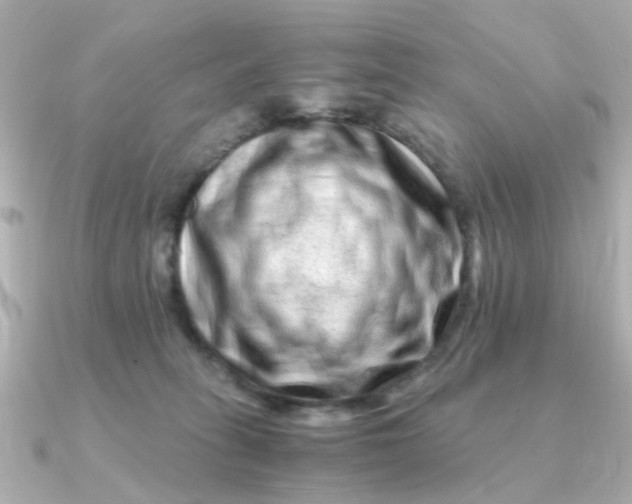 X0000090720275200708101559