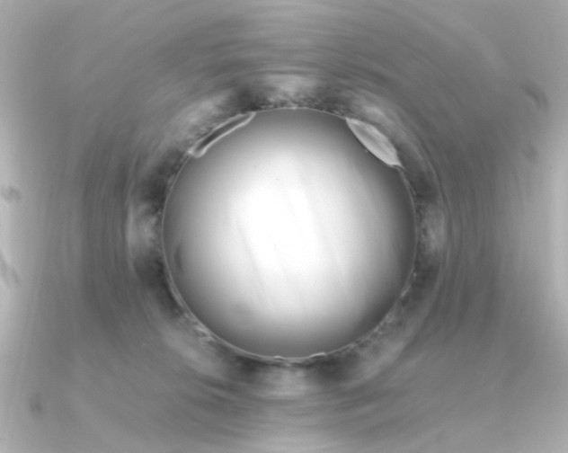 X0000090720276200708101559