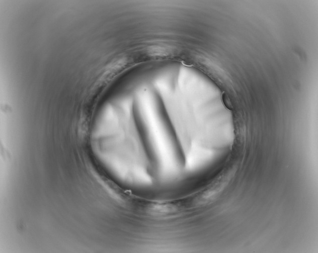 X0000090720277200708101559