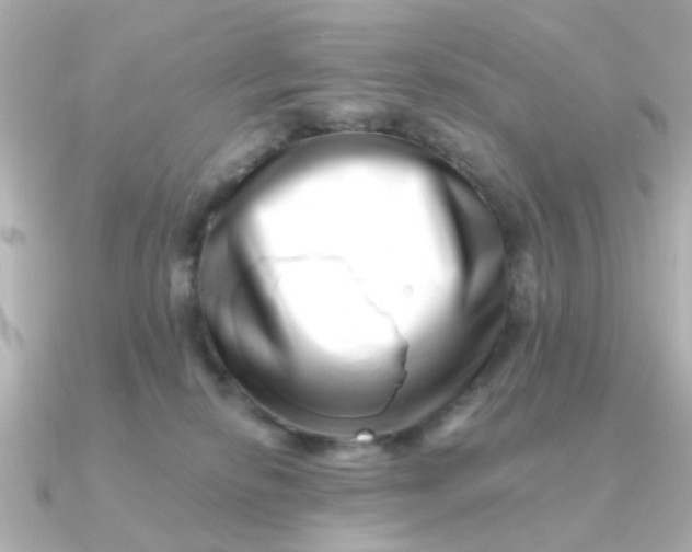 X0000090720278200708101559