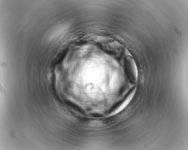 X0000090720279200708101559