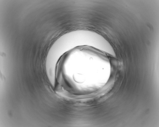 X0000090720280200708101559