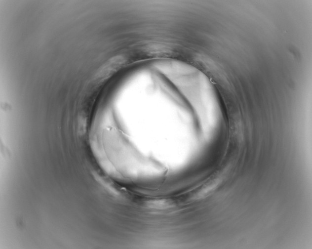 X0000090720281200708101559