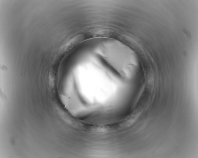 X0000090720282200708101559