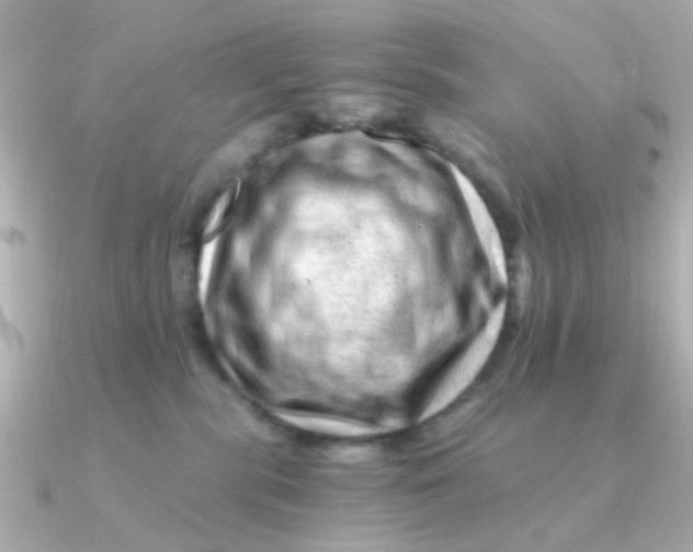 X0000090720283200708101559