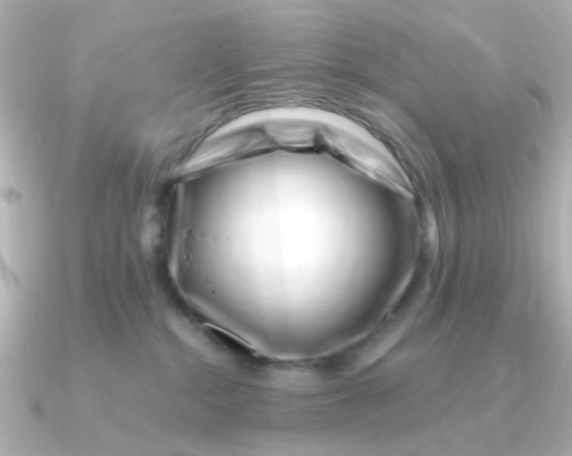 X0000090720284200708101559