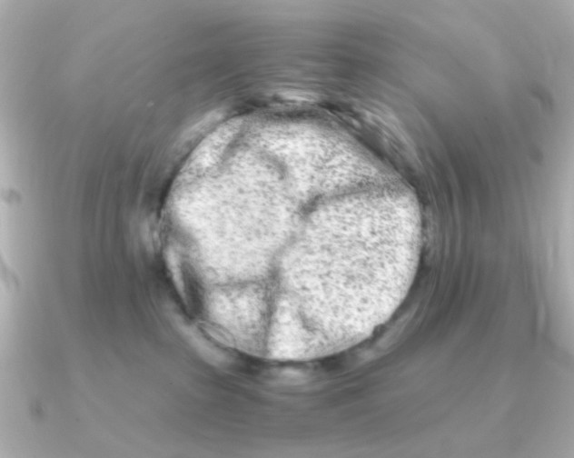 X0000090720285200708101559