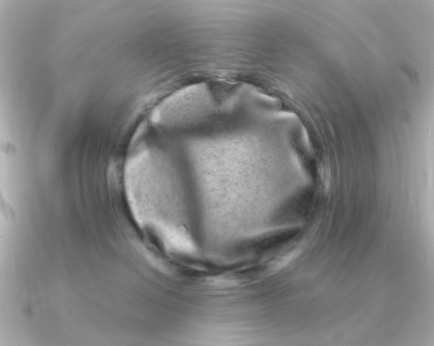 X0000090720286200708101559