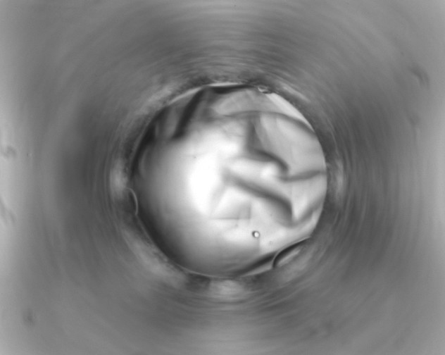 X0000090720287200708101559