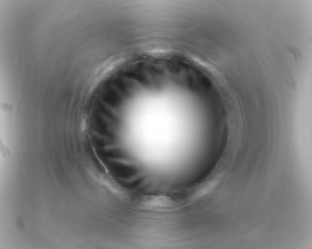 X0000090720288200708101559