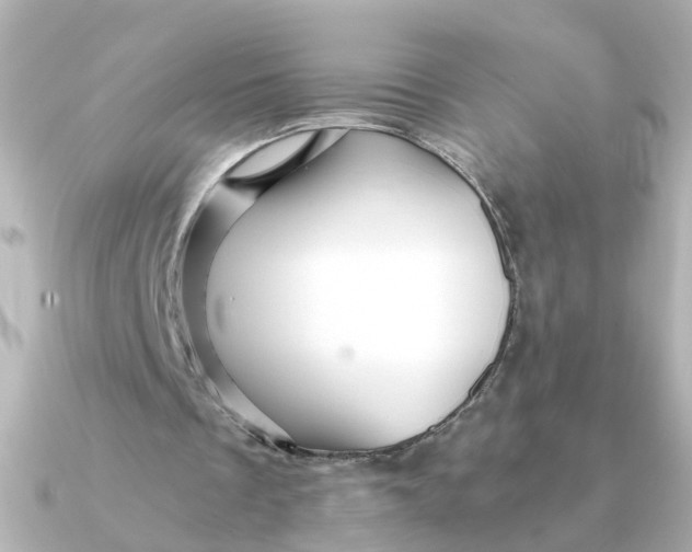 X0000090720289200708101559