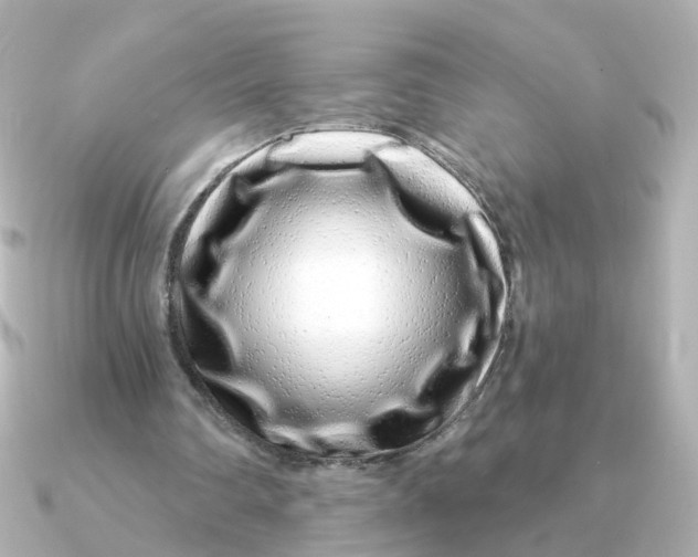 X0000090720290200708101559