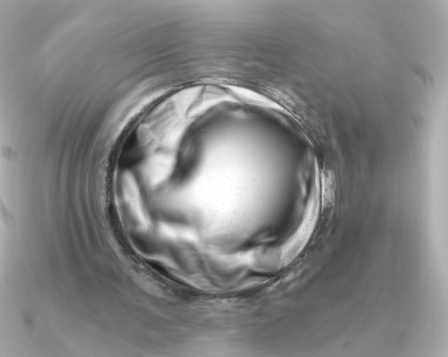 X0000090720291200708101559