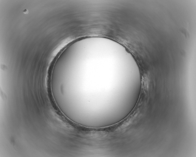 X0000090720292200708101559