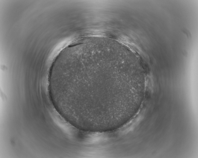 X0000090720293200708101559