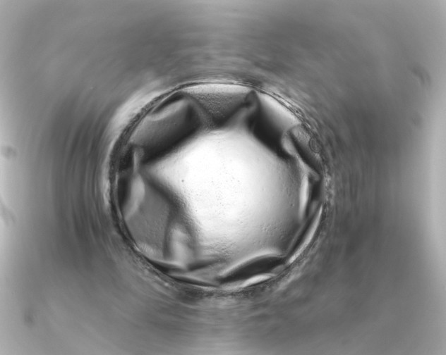 X0000090720294200708101559