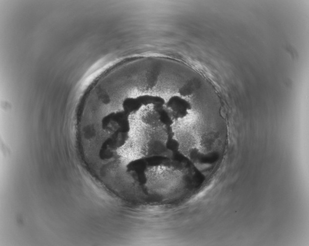 X0000090720295200708101559